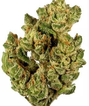 Banana-Og.jpg