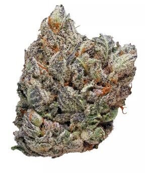 Deadhead-OG.jpg