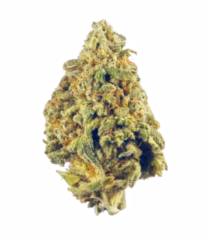 Docs-OG.png