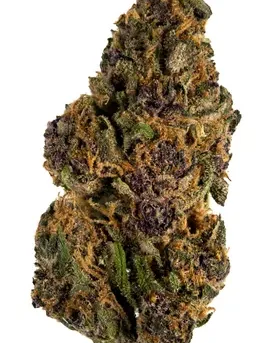 Forbidden-Fruit.webp