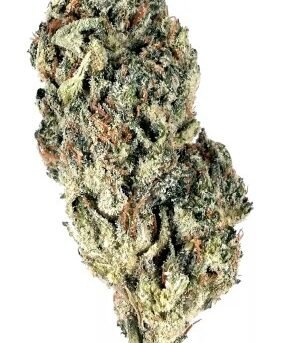 Ghost-Train-Haze.jpg
