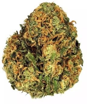 Green-Crack.jpg