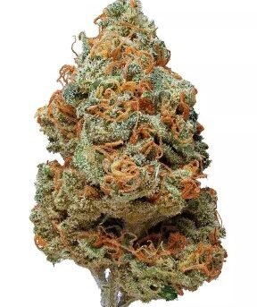 Vanilla-Kush.jpg