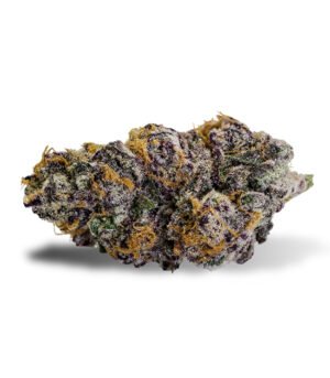 Purple Punch Strain