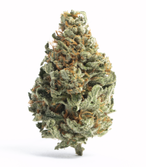 tropical-runtz-strain.png