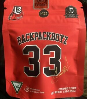 Backpack-Boyz-N°33.jpg