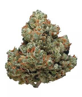 Chemdawg.jpg