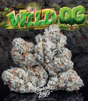 Jungle-Boys-Wild-OG-Flower.webp