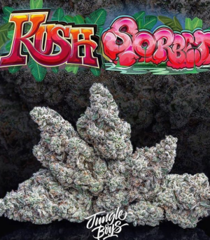 Kush-Sorbet-Jb.png