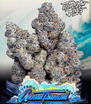 Tsunami-Seed-Co-Animal-Tsunami-1.jpg