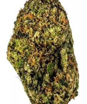 Zkittlez.jpg
