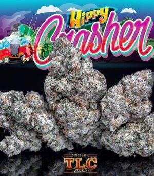 hippy-crasher-jb1.jpg