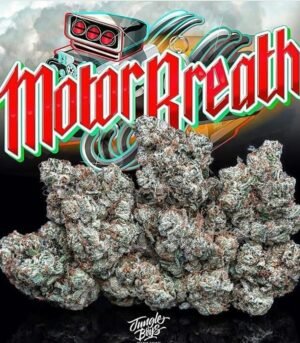 jb-motor-breath.jpg