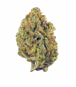 jenny-Kush-strain.png