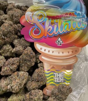 thetenco-tropical-skilatti.jpg